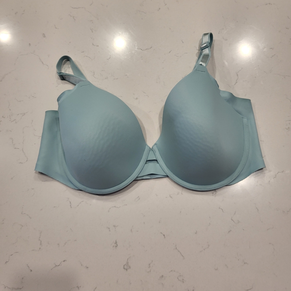Warner's Light Blue Bra 40C